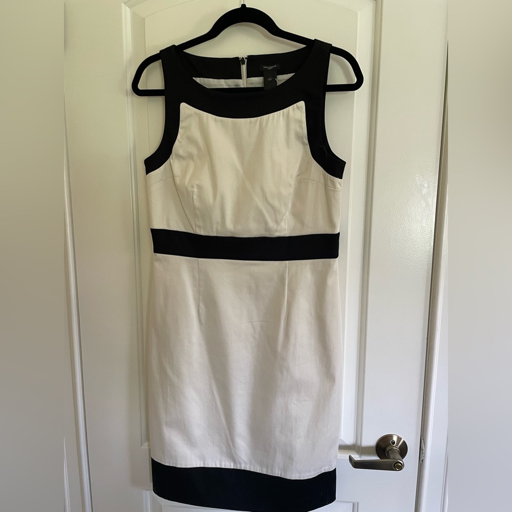 Ann Taylor Dress to Impress